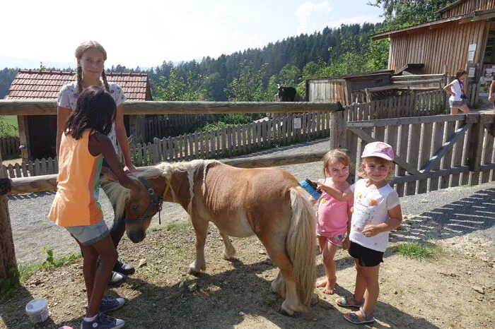 Es gab verschiedene Stationen, bei denen die Kinder spielen, sich bewegen und alles rund um das Pferd lernen konnten.