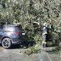 Im Bereich Auen stürzte ein Baum auf ein fahrendes Auto. Der Fahrer konnte nahezu unverletzt aussteigen