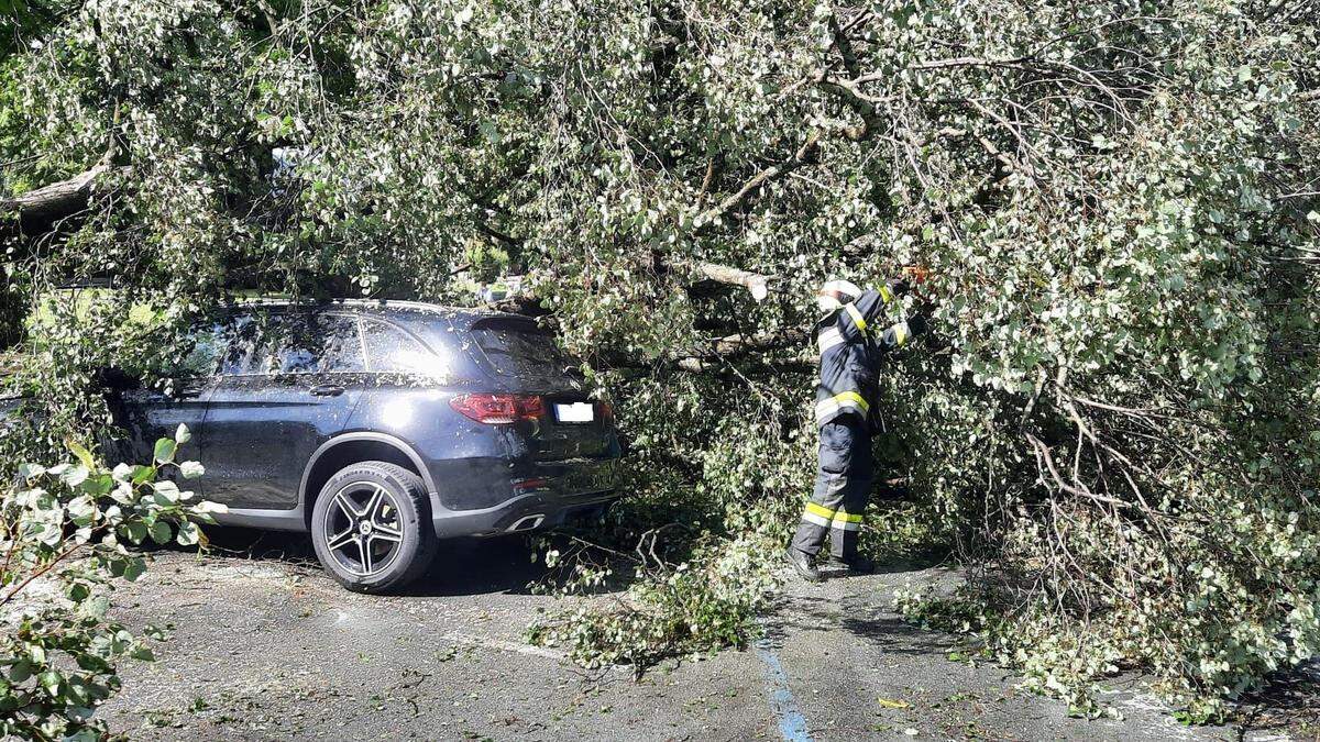 Im Bereich Auen stürzte ein Baum auf ein fahrendes Auto. Der Fahrer konnte nahezu unverletzt aussteigen