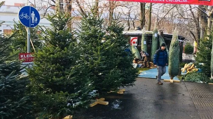 Noch eine Woche bis Weihnachten! Die steirischen Christbäume stehen bereit