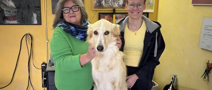 Zwei Frauen in einem Hundesalon stehen hinter einem Hund und lächeln in die Kamera