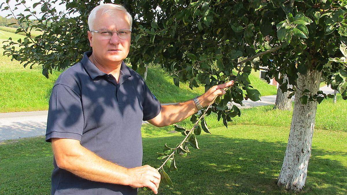 Kammerobmann Johann Reisinger mit einem Apfelbaum ohne Früchte – ein Symbol für die mageren Ernten im heurigen Jahr