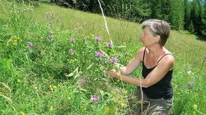 Das Blumenparadies Mussen ist Kärntens Schatz in der ORF Sendung "9 Plätze - 9 Schätze"