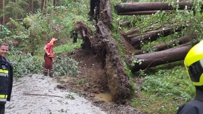 Vor allem die Bereich Bernau und Hausdorf waren vom starken Gewitter betroffen.