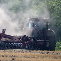 Die Landwirtschaft hat durch die Dürre Millioneneinbußen. Betroffen sind allerdings auch zahlreiche andere Sektoren