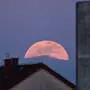 Der Vollmond wird am Palmsonntag zu sehen sein