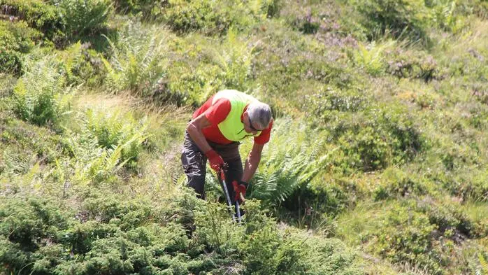 Gemeinsam entfernten die Helferinnen und Helfer unerwünschtes Gestrüpp