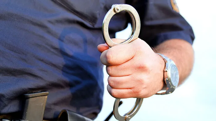 Für verdächtigen Rumänen klickten an der burgenländisch-ungarischen Grenze die Handschellen