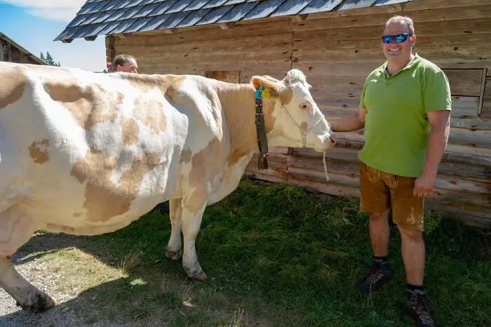 So führten zwei mit Alpenblumen geschmückte Rinder und drei Ziegen 32 Kühe beim Abtrieb zur Almwiese Ehrenhöfer an.  