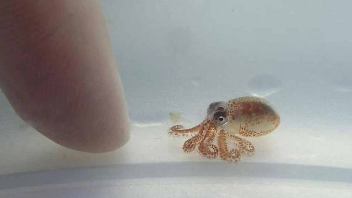 Entzückend - im Unterschied zum Haufen Unrat, der ihn umgab