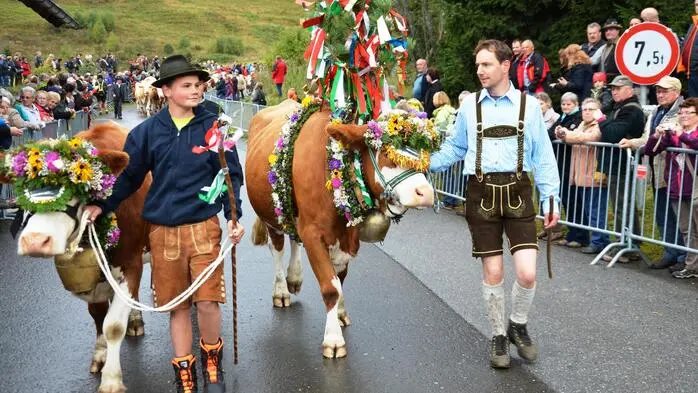 Mit viel Stolz bringen die Almbauern ihre Tiere zum Almabtrieb in Schönberg-Lachtal