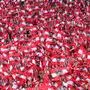 BERLIN,GERMANY,21.JUN.24 - SOCCER - UEFA EURO 2024, group stage, Poland vs Austria. Image shows fans of AUT with flags.
Photo: GEPA pictures/ Witters/ Valeria Witters - ATTENTION - COPYRIGHT FOR AUSTRIAN CLIENTS ONLY