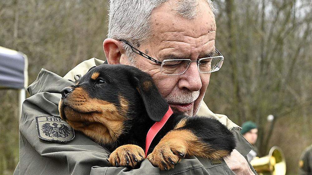 Van der Bellen mit einem seiner Patenhunde 