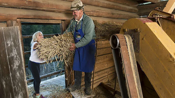 Vom Korn zum Brot: Die Lesachtaler geben Tradition der Brotherstellung von Generation zu Generation weiter