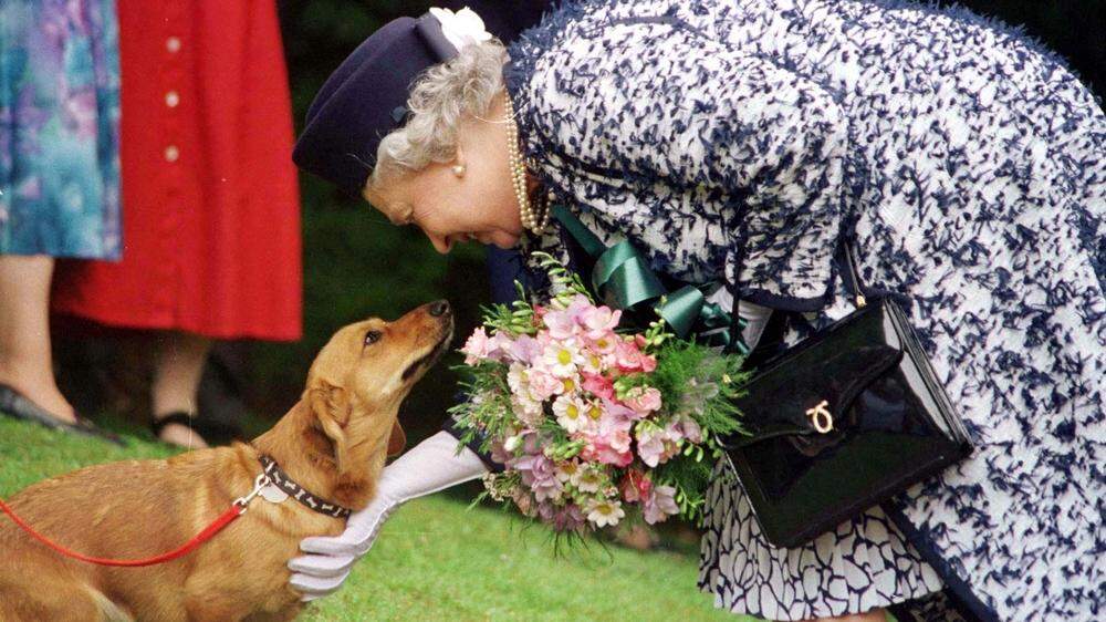 Hundeliebhaberin Queen Elizabeth II. 