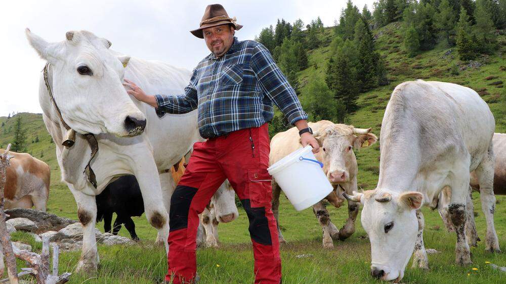 Horst Stark, international Anerkannter Züchter aus Steuerberg, mit einem seiner 60 weißen Chianina-Rinder