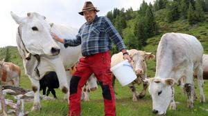 Horst Stark, international Anerkannter Züchter aus Steuerberg, mit einem seiner 60 weißen Chianina-Rinder