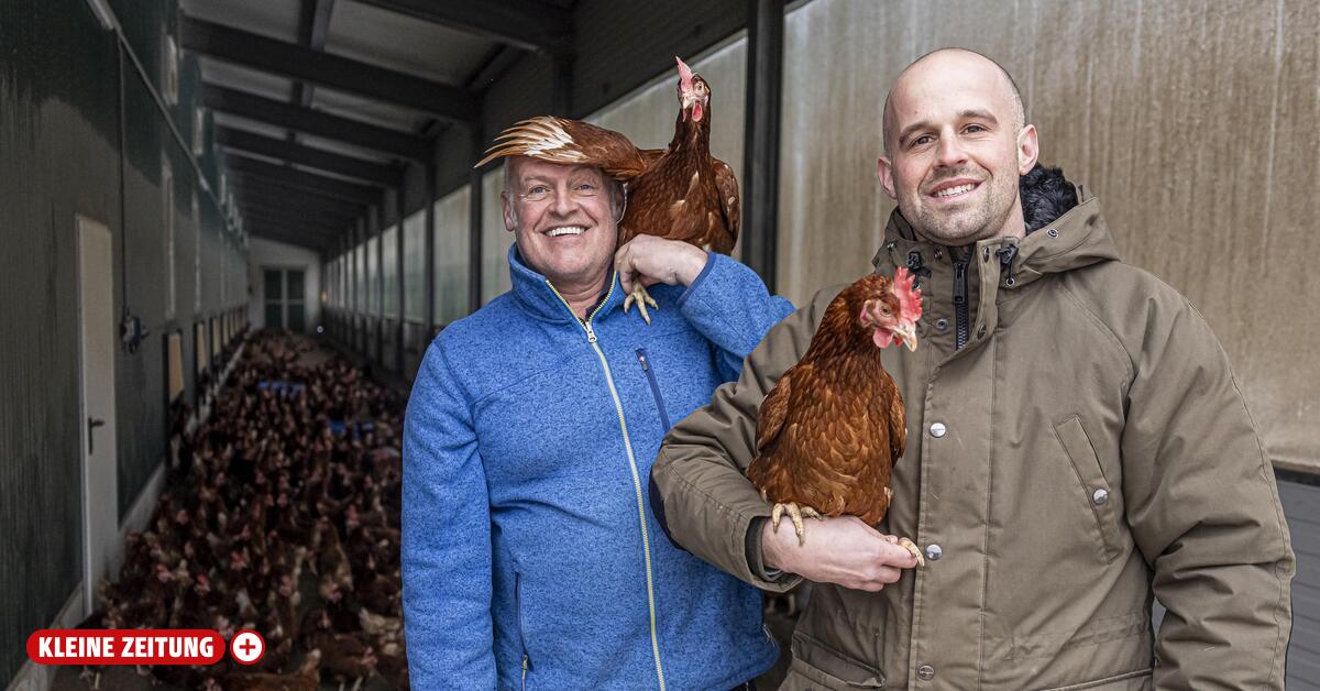 Gnesau : Bei Familie Obereder legt ein Huhn rund 300 Eier pro Jahr