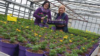 Angelika Sattler und Mitarbeiterin Jutta Elsbacher mit jungen Pflanzen in den neuen Töpfen