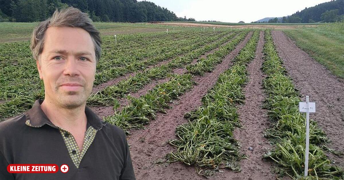 Landwirte beklagen Millionenschaden nach Unwetter im Bezirk Weiz