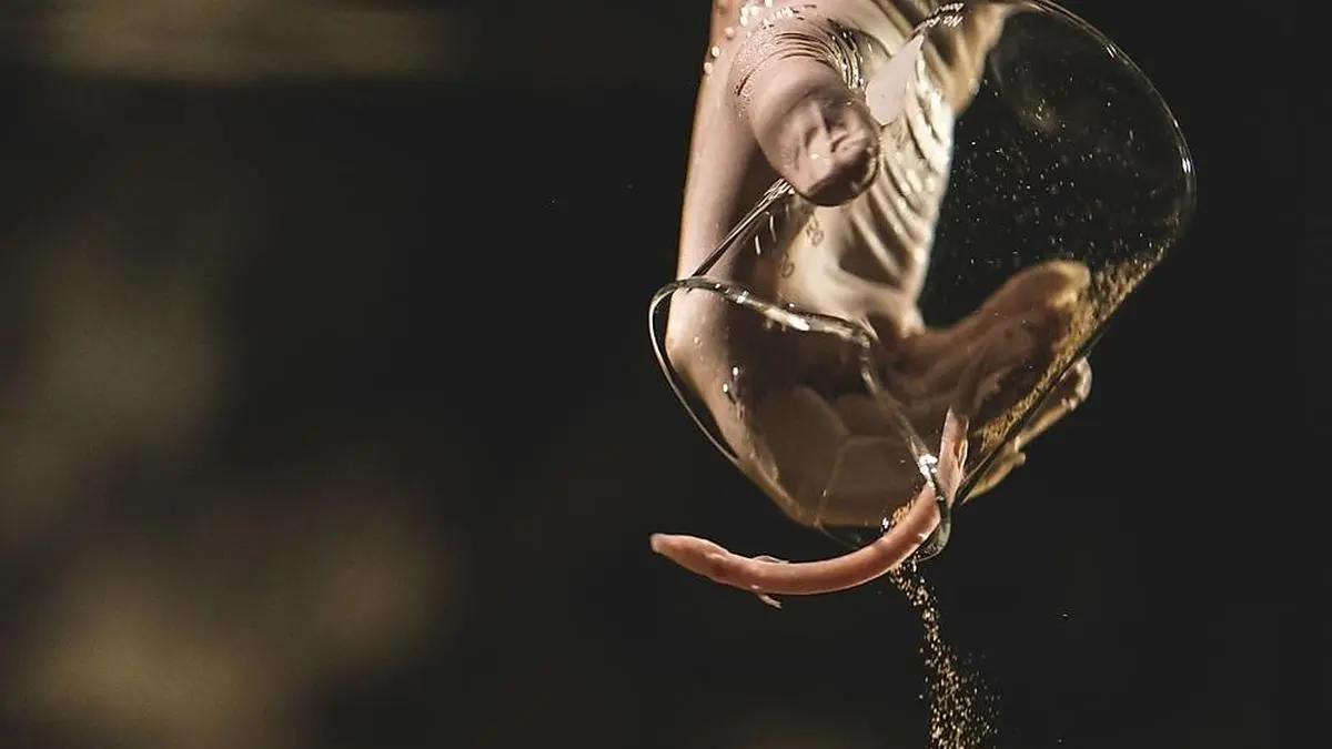 Ein junger Grottenolm wird in das neue Aquarium "entlassen"