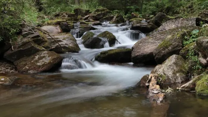 Die Schwarze Sulm vertritt die Steiermark bei der Wahl zum „Fluss des Jahres“