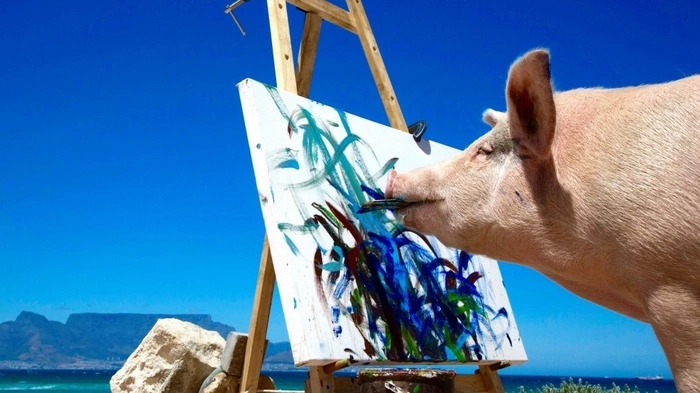 Seit 2016 bezaubert das vier Zentner schwere Naturtalent "Pigcasso" seine Fans mit bunten Kreationen, die es mit kindgerechten, ungiftigen Farben auf die Leinwand zaubert. 