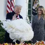 Donald Trump begnadigt den Thanksgiving-Truthahn