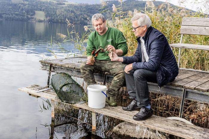 Fischer Günter Palle und Koch Günter Walder begutachten die Qualität der Signalkrebse