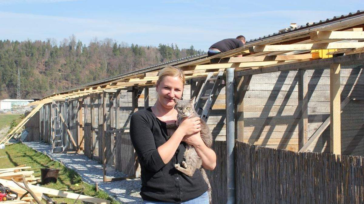 Das Land fördert die Sanierung des Katzengeheges im Tierheim Franziskus in Rosental