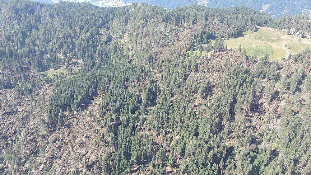 Hubschrauberfoto, aufgenommen von der Naggler Alm. Der Wald nennt sich „Kaiserfrattn“