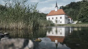 Im Weinkeller Dveri-​Pax im Nordosten Sloweniens führen wir die mehr als 800-​jährige Weinbautradition der Admonter Benediktinermönche fort