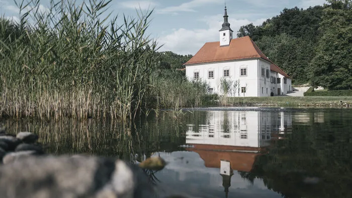Im Weinkeller Dveri-Pax im Nordosten Sloweniens führen wir die mehr als 800-jährige Weinbautradition der Admonter Benediktinermönche fort