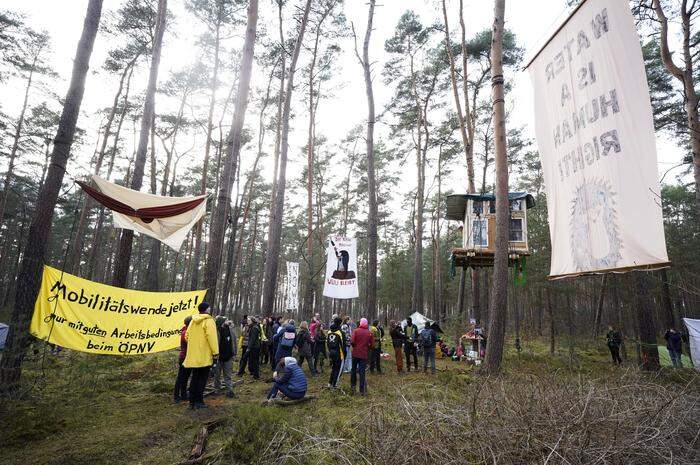 Rund 100 Umweltaktivisten halten einen Teil des Landeswalds besetzt