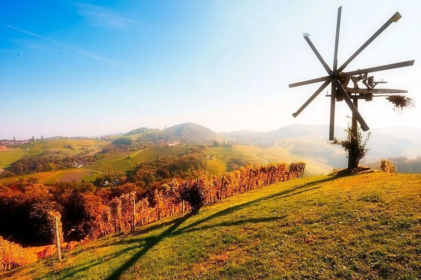 Die steirischen Wirte an der Weinstraße sind mitten in der Weinlese und freuen sich auf einen erfolgreichen Herbst