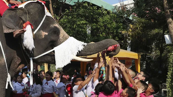 Der Weihnachtsmann ist in Thailand bereits am 23. Dezember auf dem Rücken von Elefanten ausgerückt, ...