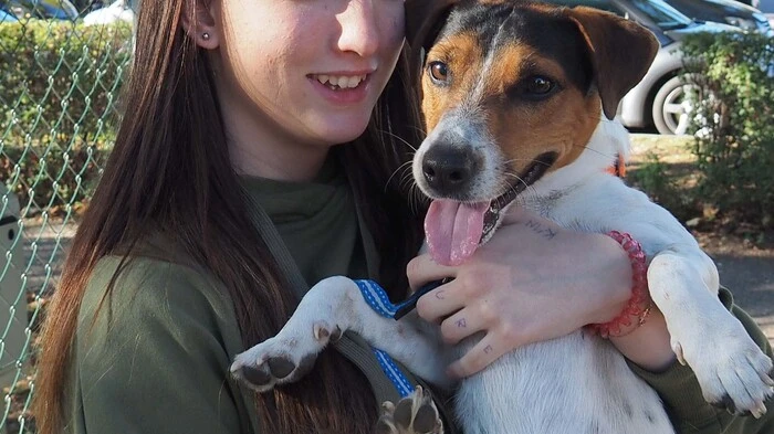 Am Welttierschutztag segnete Dompfarrer Peter Allmaier Donnerstagnachmittag Haustiere und ihre Besitzer zuerst in der Hundefreilaufzone bei der Festung und danach mit St. Hemma-Pfarrprovisor Gerhard Simonitti bei der Kirche St. Hemma.