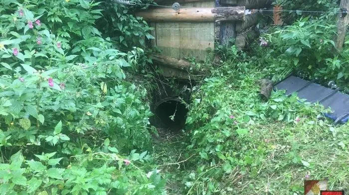 In diesen nur 50 Zentimeter dicken Wasserdurchlass aus Beton war das neugeborene Kalb geraten