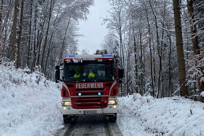 Die FF Peggau brach am Sonntag zu einem Verkehrsunfall auf der S35 auf. Eine PKW ist ins Schleudern geraten und hat eine Leitschiene touchiert. Die Fahrzeuglenkerin wurde unbestimmten Grades verletzt und vom Roten Kreuz versorgt. Bald darauf der nächste Einsatz: Ein Baum auf der Mittereggstraße war zu entfernen (Bild).
