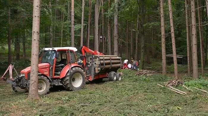 Bei Holzschlägerungsarbeiten passierte in Landscha bei Weiz ein schwerer Unfall