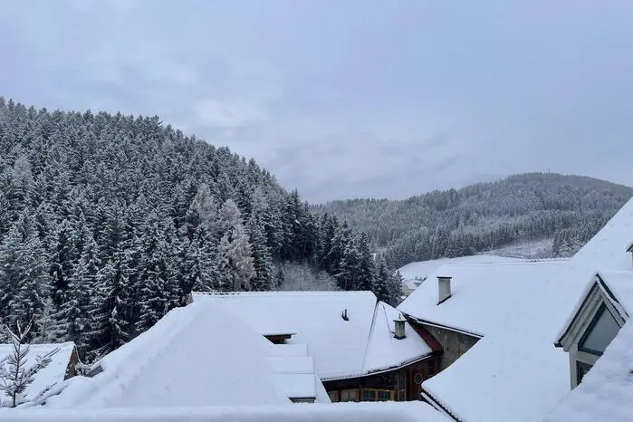 Verschneite Wälder.
