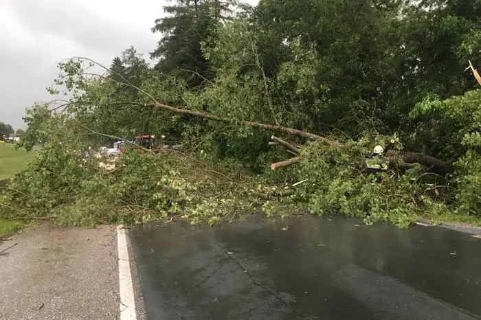 Unter anderem hatte die FF Preitenegg alle Hände voll zu tun. Etliche Bäume wurden umgerissen und landeten auf der B70.