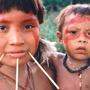 Bis zur Mitte des 20. Jahrhunderts lebte der Stamm der Yanomami   fast vollständig von der Außenwelt abgeschieden