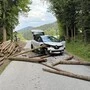 Ein Holzstamm verkeilte sich bei dem Unfall im Auto