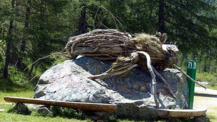 Nicht nur der Käfer im Deferegger Bienenpark ist am Boden. Auch der Tourismus im Tal hat zu kauen