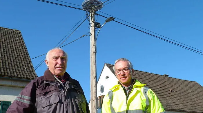 Der Korb des neuen Horstes wiegt 45 Kilogramm