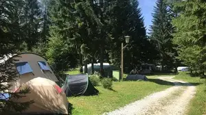 In einem Wald stehen mehrere Zelte bei strahlend blauem Himmel | Der Campingplatz auf der Hebalm braucht einen neuen Pächter
