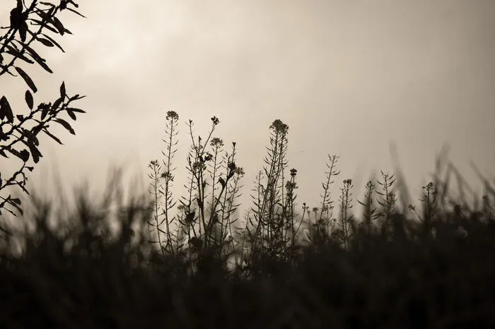 Anneliese Seidnitzer hat dieses Foto geschossen und es uns mit dem Titel „Herbststimmung“ geschickt