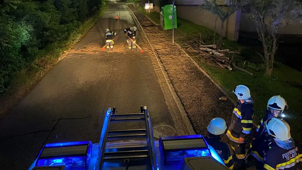 Schon am Wochenende musste die FF Fellach in Villach ausrücken. Der Sturm hatte einen Baum geknickt