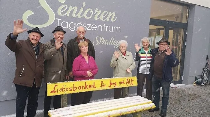 Schneegestöber in Strallegg
